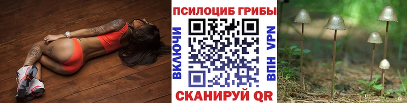 Купить закладки  Макарьев  Галлюциногенные грибы Psilocybe 